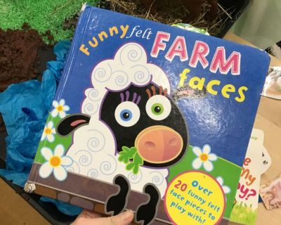 funny-felt-farm-faces-book